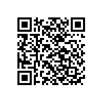 【移動DVD電池定制】