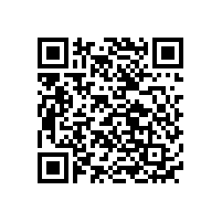 中國最大的鋰離子電池廠家