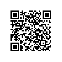 長條形聚合物電池 EPT 101565 900mah 3.7V產(chǎn)品介紹