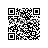 長條形聚合物鋰電池定制廠家