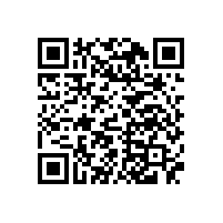 舞台演出音响 椰林码头工程案例