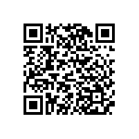 山東銀箭邀您參加上海國際涂料展