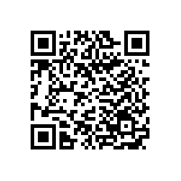 巴斯夫推出兩款新型金色和褐色內(nèi)飾效應(yīng)顏料