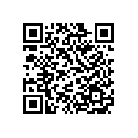 寒冬下銀箭油墨用鋁銀漿客戶參觀章丘金屬顏料
