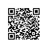 日系仿電鍍鋁銀漿在華優(yōu)勢(shì)受到銀箭品牌產(chǎn)品挑戰(zhàn)