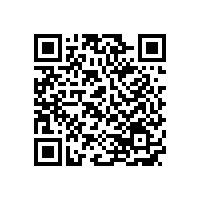 山東銀箭金屬顏料行業(yè)的卓越企業(yè)