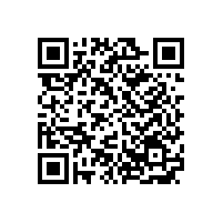銀箭金屬顏料看國內(nèi)涂料原材料價格暴漲背后的深層意義