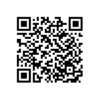 銀箭鋁銀漿淺談涂料的分散介質(zhì)