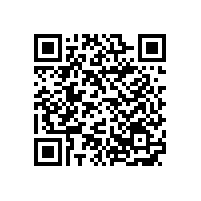銀箭水性鋁銀漿與國內(nèi)水性顏料齊發(fā)展