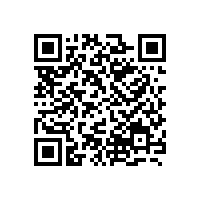 網(wǎng)絡(luò)技術(shù)模擬下的四葉羅茨鼓風(fēng)機(jī)非穩(wěn)態(tài)流動(dòng)