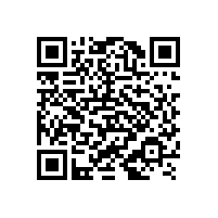 德國(guó)人：不理解為什么會(huì)出現(xiàn)質(zhì)優(yōu)價(jià)廉的凸輪轉(zhuǎn)子泵