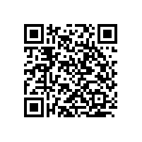 某護(hù)膚品店鐵藝展柜定制案例