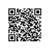 某商場(chǎng)品牌服裝店鐵藝服裝展示架案例