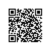 鐵藝服裝展示道具定制【實(shí)體定制案例】