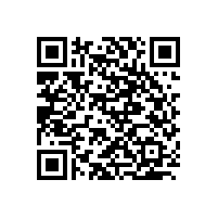 鐵藝服裝展示架廠家定制