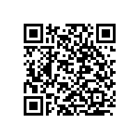 鐵藝飾品架定做,婉洋工藝專業(yè)20年