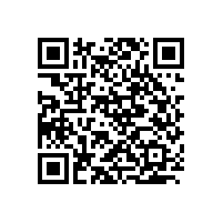 現(xiàn)代簡(jiǎn)約壁掛式酒架定制