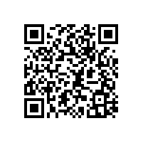 新款上市鐵藝展示架