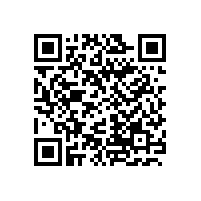 国外扬声器及音箱的技术现状