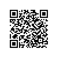 摩登7音响为广东省市共同推进信息技术应用创新数字经济发展大会保驾护航