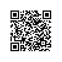 喇叭单体故障原因分析