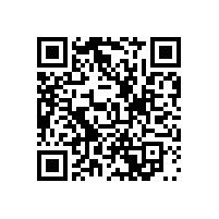 墨西哥客户定做400套有源音柱组合