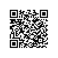 全频喇叭优缺点