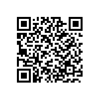 如何构建多媒体会议系统？