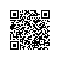 舞台演出音响 椰林码头工程案例