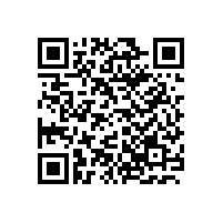 线阵音响 适用于各类领域系统扩声