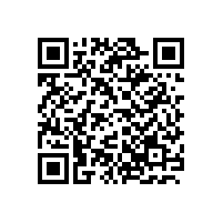 线阵音箱系统声反馈的危害