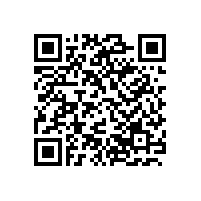 印度客户直接来厂家采购线阵音响系统