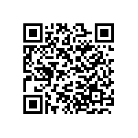 Z国电子信息百强企业