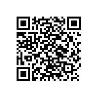 辦公椅子老板椅，碧江家具