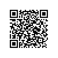 辦公轉(zhuǎn)椅電腦椅，為您撐腰【碧江家具】
