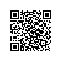 大班辦公椅哪家好，上海松江這家好【碧江家具】