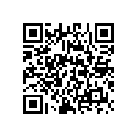 皮質(zhì)弓形辦公椅，穩(wěn)健更安全【碧江家具】
