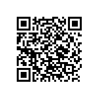 上海辦公椅公司哪家好【碧江家具】