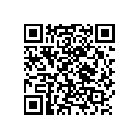 現(xiàn)代簡(jiǎn)約辦公椅，招財(cái)貓款式老板椅【碧江家具】
