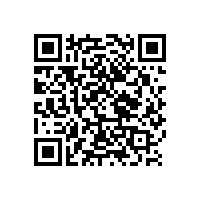 總裁的位置坐穩(wěn)了，總裁辦公椅【碧江家具】