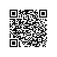 羅茨風(fēng)機出風(fēng)口110口徑有這種的嗎？沒有怎么辦？
