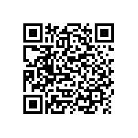 羅茨鼓風(fēng)機(jī)sr50型號(hào)參數(shù)有哪些？華東風(fēng)機(jī)
