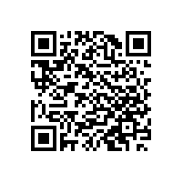 廣東申報能力評估CS認(rèn)證的企業(yè)可以讓北京塞西來審核評估嗎？