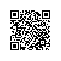 提供信息系統(tǒng)建設(shè)和服務(wù)的企業(yè)可辦理什么資質(zhì)？