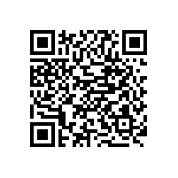 飯店餐廳選什么炒爐 炒爐的種類和選擇