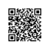 十一回家的票你定了嗎？