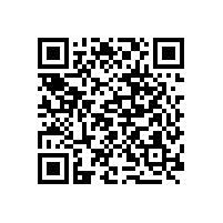 西安新興戴斯大酒店