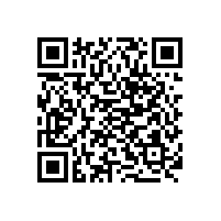 項(xiàng)目案例：大唐西市369格