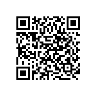 項目案例：陜西省人民政府