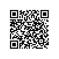 項(xiàng)目案例：西安市人民政府